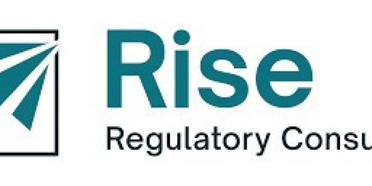 How Regulatory Consulting Can Future-Proof Your