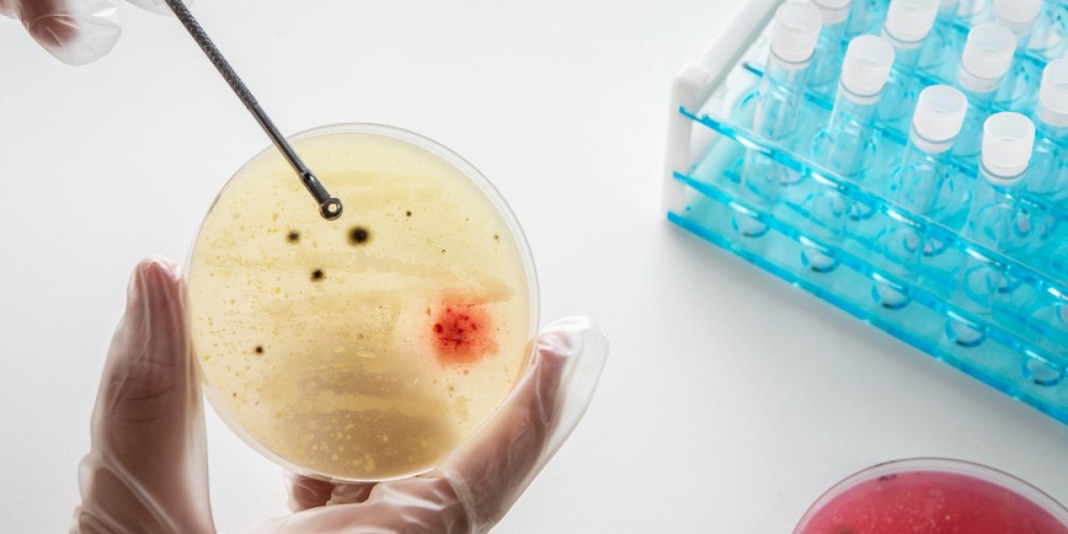 Liquid Biopsy for Cancer Diagnostics Market