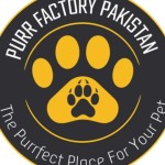 purr factory Profile Picture