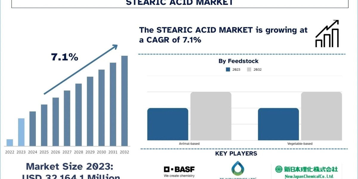 Stearic Acid Market Size, Growth, Trends