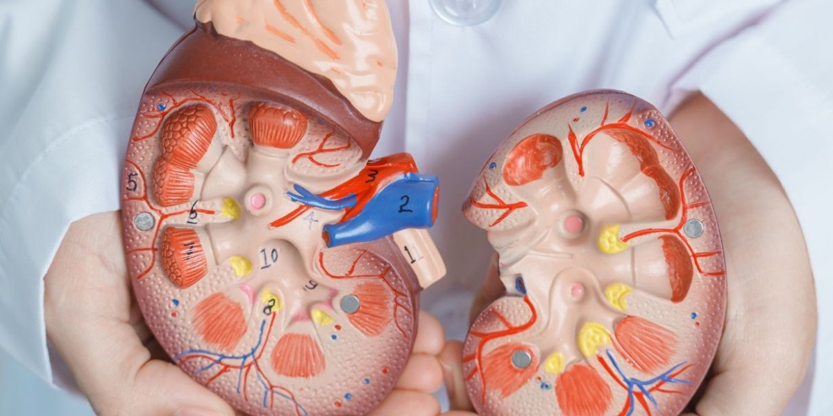 Cost of Kidney Stone Treatment in Jaipur: What