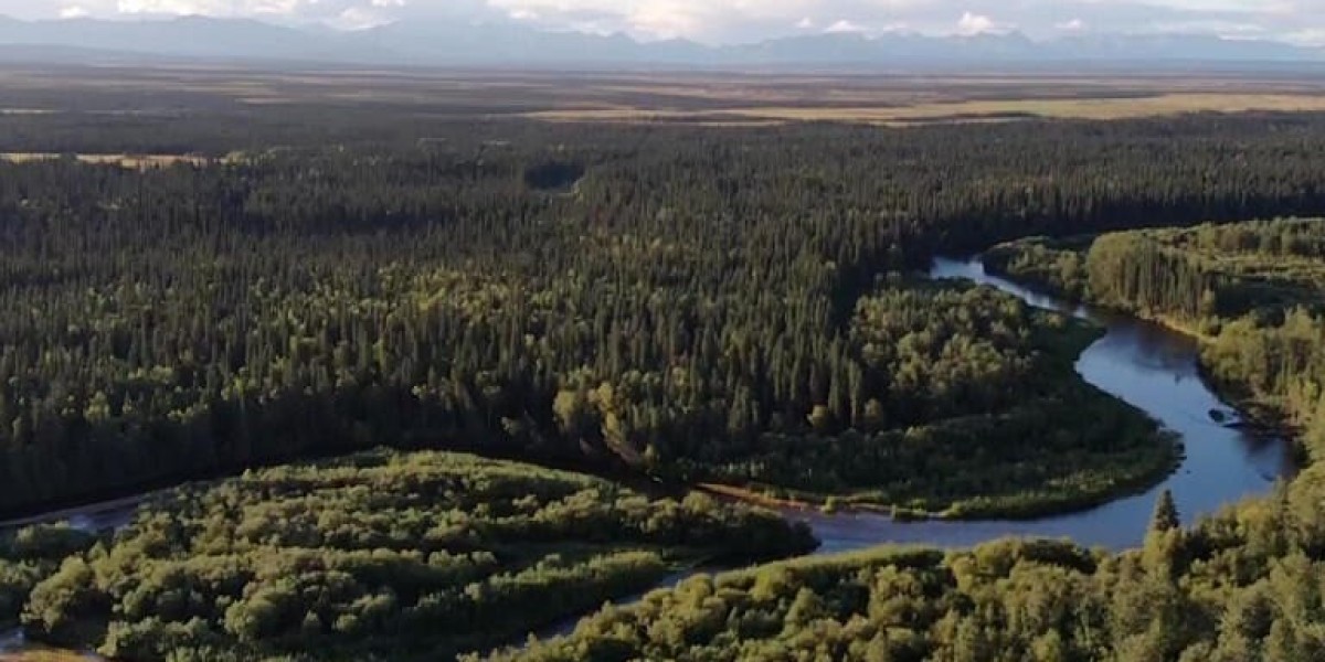 Anthony Milewski and the Revival of Uranium as