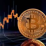 Fondet Ykaro Platform Review Profile Picture