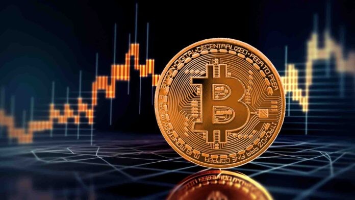 Fondet Ykaro Platform Review Profile Picture