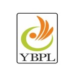 Yellow Bird Publications Profile Picture