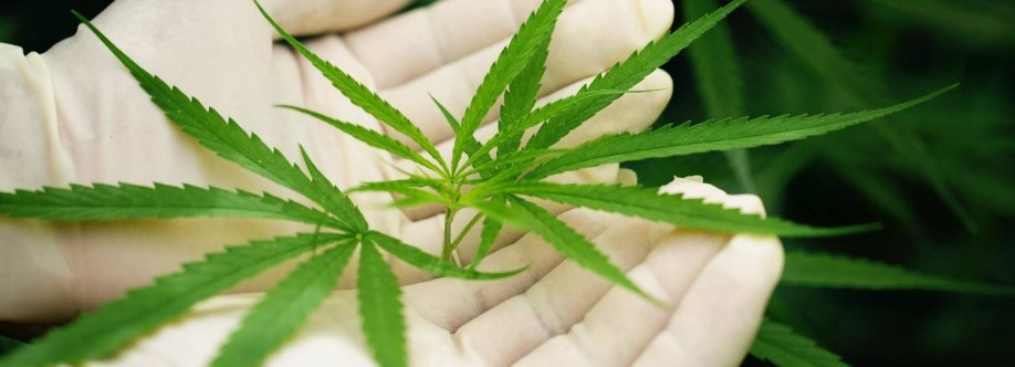 MD Ganja Cover Image