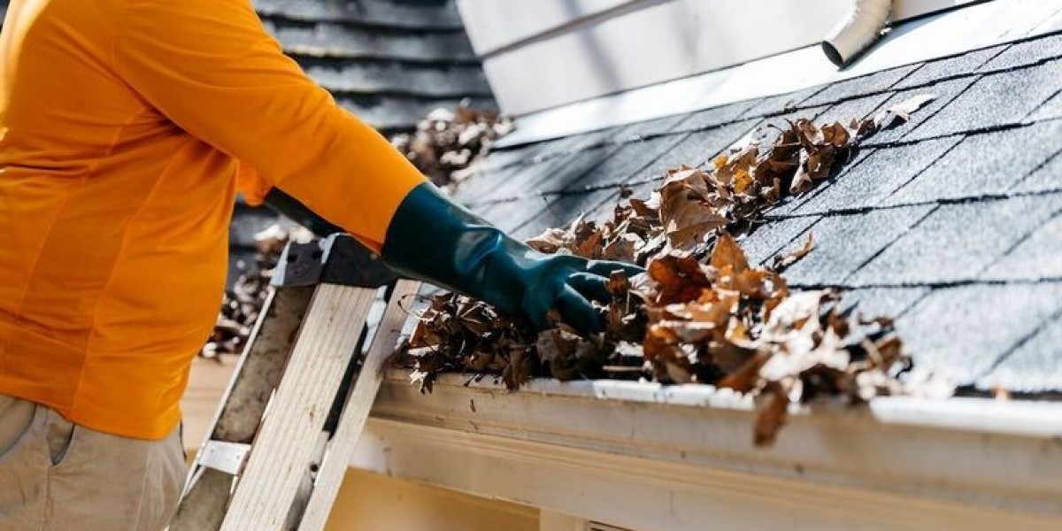 Protect Your Home with Expert Gutter Cleaning