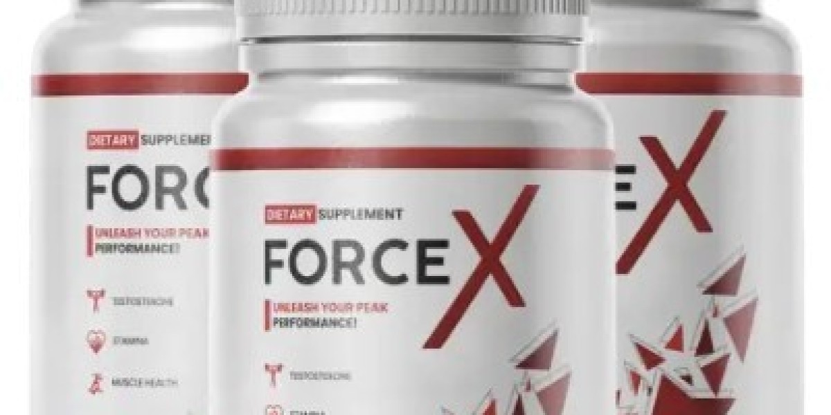 Welche Branchen bedient ForceX?