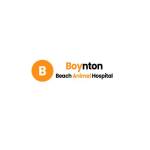 boyntonbeacha Profile Picture