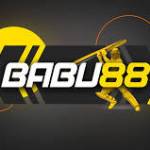 babu 88in Profile Picture