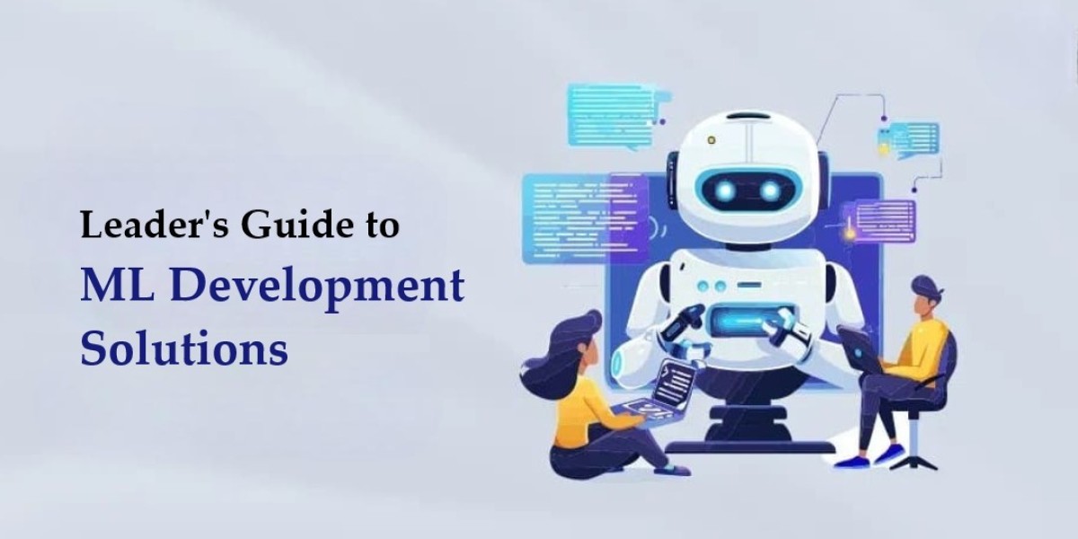 Tech Leader's Guide to ML Development Solutions