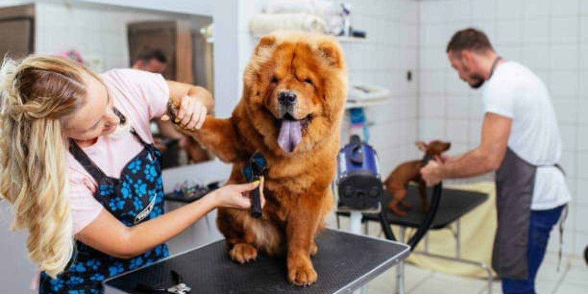 Pet Grooming Near Me: How Grooming Supports Pet