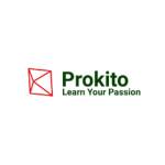 Pro kito Profile Picture