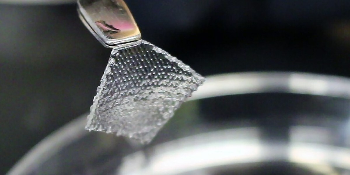 Hydrogel Market Dynamics: Trends, Opportunities