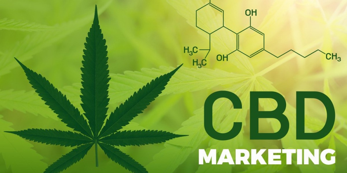 Why CBD Brands Need Digital Marketing