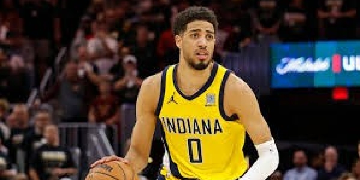 Knicks training applicants: 4 favorites