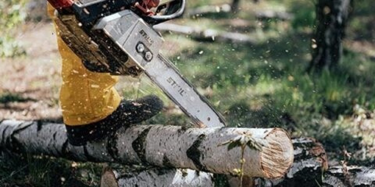 Emergency Tree Trimming Services: What to Do Af