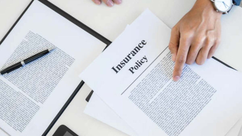 Choosing Between 1 Crore and 5 Crore Term Insurance: What Self-Employed Individuals Need to Know: ext_6693415 — LiveJournal