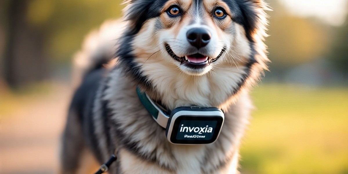 Invoxia RealTime GPS Dog Collar: A Full Guide i