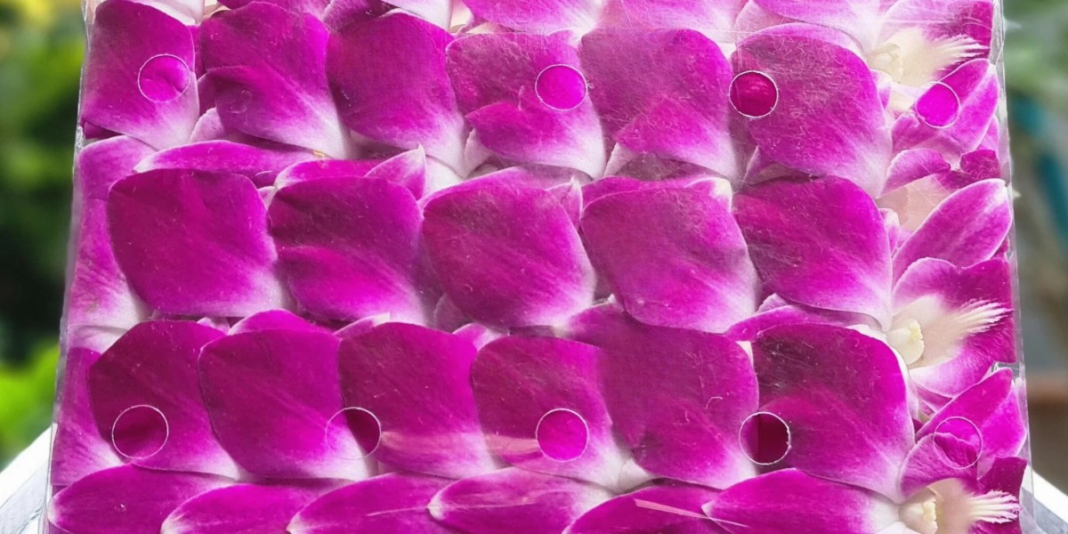 Orchid Flowers: A Timeless Gesture of Elegance