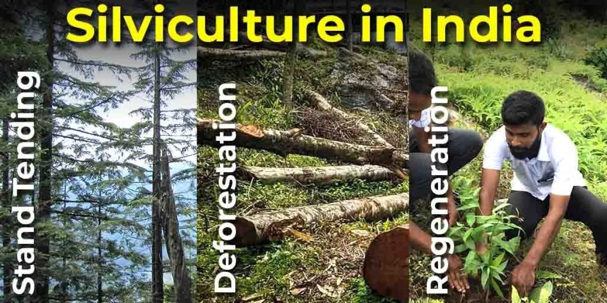 What is Silviculture, Types, Importance and Sco