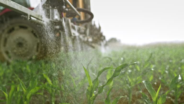 Farmer Communities: The Backbone of Digital Agriculture in India » Information Hood