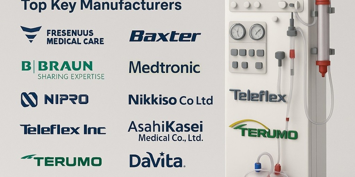 Hemodialysis Market Expansion (2025–2031)
