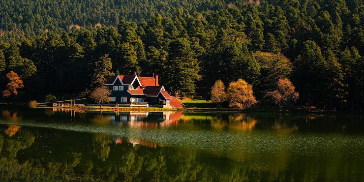 Discover the Tranquility of Binsar: Top Hotels