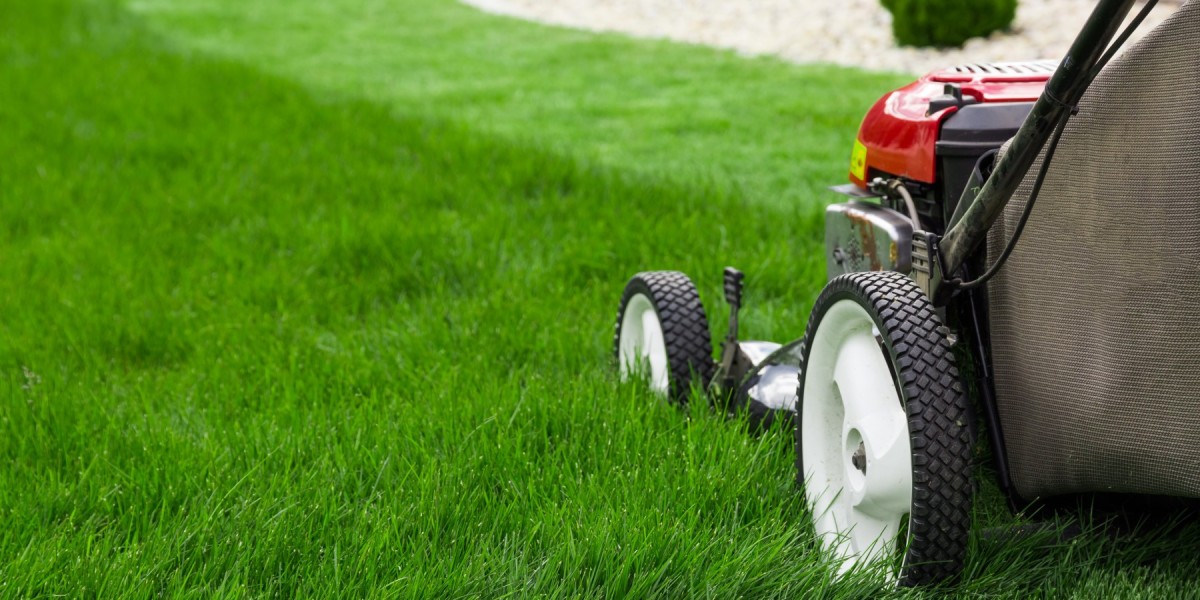 Top Lawn Care Services in Leander