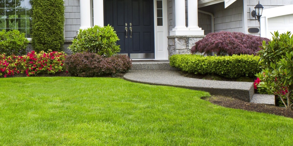 Why Is Balanced Fertilizing Key to a Vibrant Ga