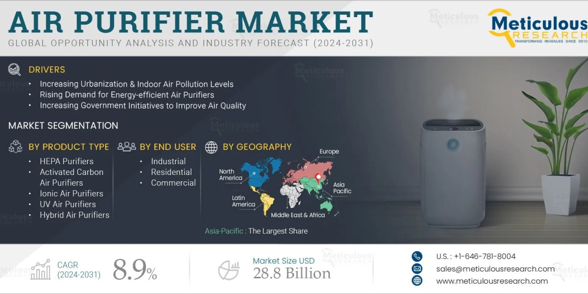 Exploring the Global Air Purifier Market
