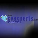 cvexperts Profile Picture