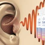 Silent Sense Calm Ears usa Profile Picture