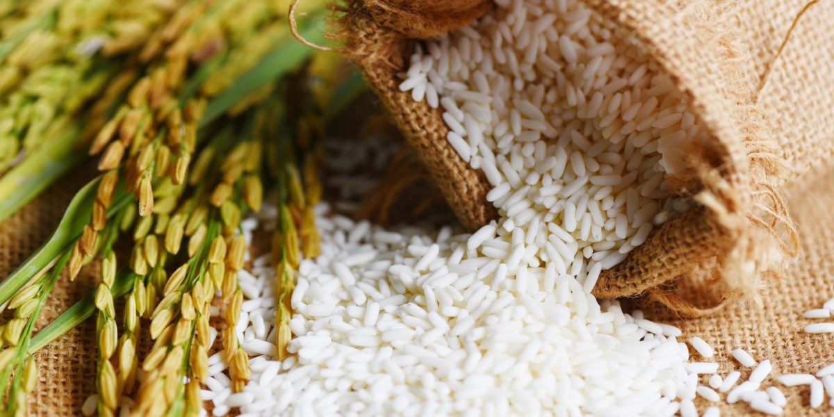 Global Rice Market Poised for Sustained Growth
