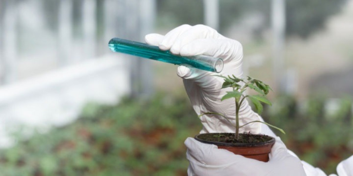 Agrochemicals Production Plant Setup Report