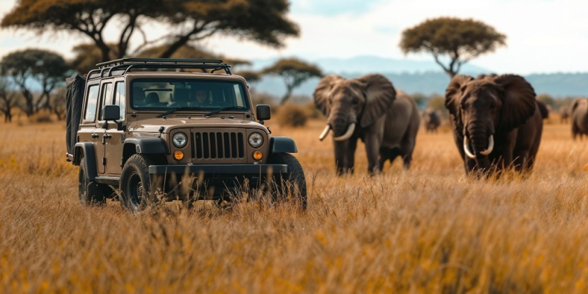 South Africa's Top Destinations & Corporate