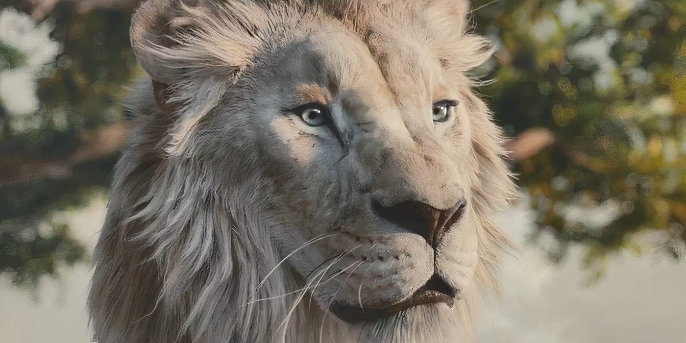 Hunter Harry Profile Picture