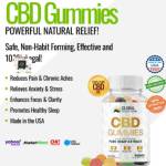 GlobalHealthCBD Gummies Profile Picture