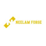 Neelam Forge Profile Picture
