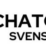 chatgptsvenska11 Profile Picture