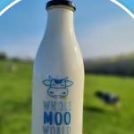 wholw moo world ashd Profile Picture