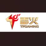 tfgamingtop2 Profile Picture