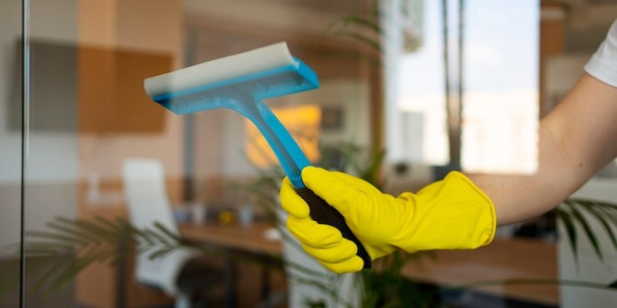 A Guide to Window Cleaning in Apollo Beach, FL