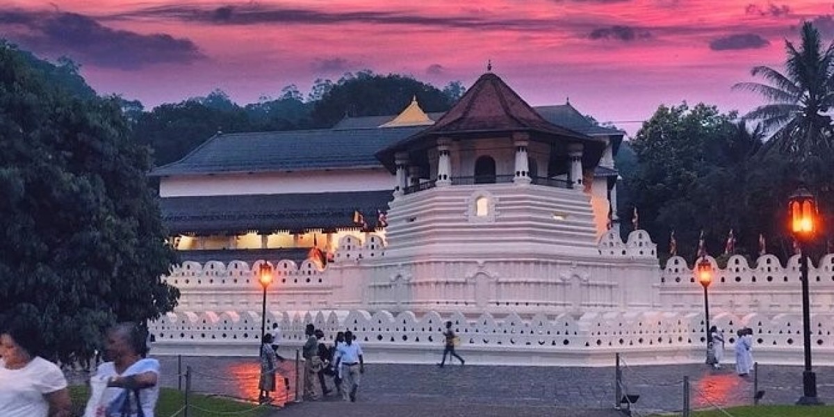 How to Explore the Best of Sri Lanka at Night