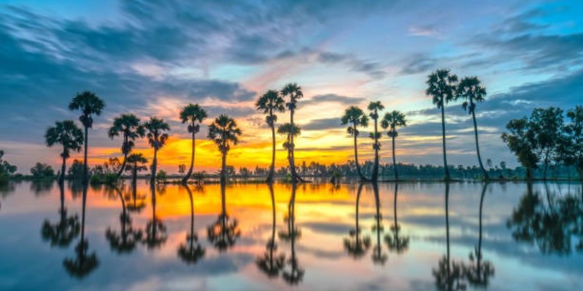 A Starlit Stroll Through Vietnam’s Beach Cities