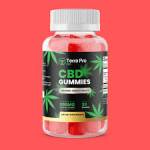 Terra Pro CBD Gummies Terra Pro CBD Gummies Profile Picture