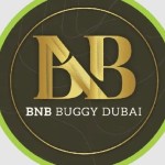 BNB Travel And Tours Profile Picture