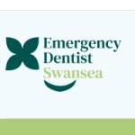 Emergencydentistswansea Profile Picture