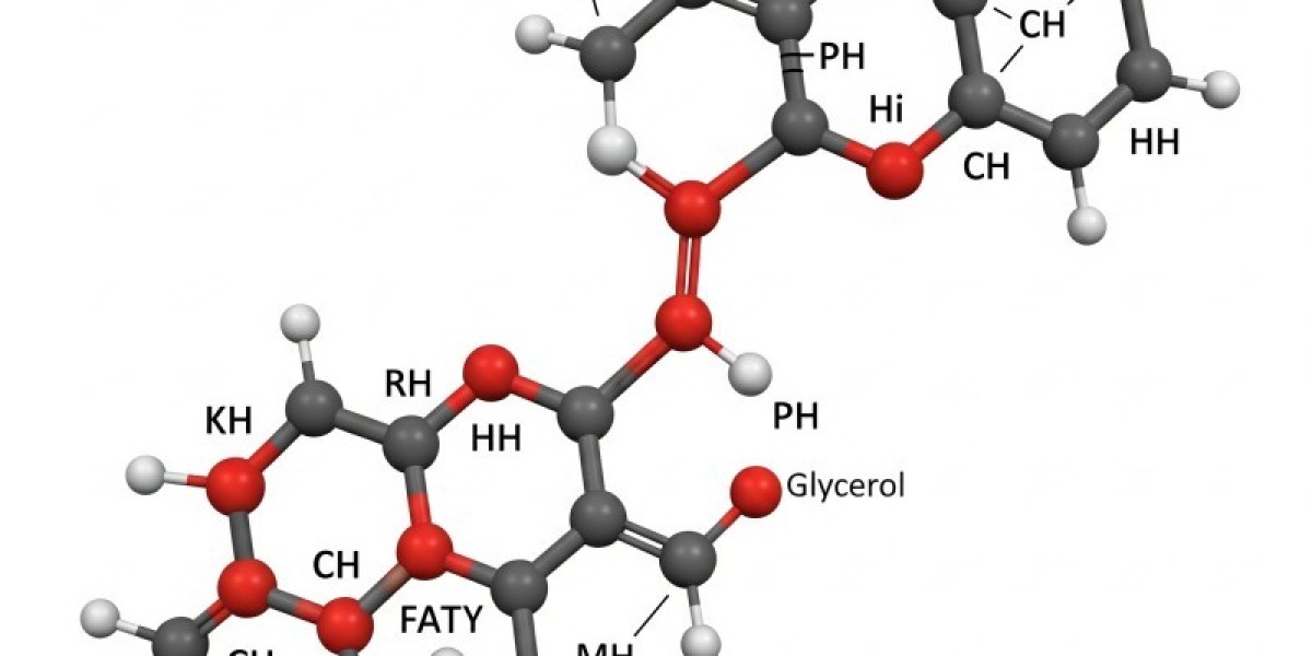 Medium Chain Triglycerides Market Forecast