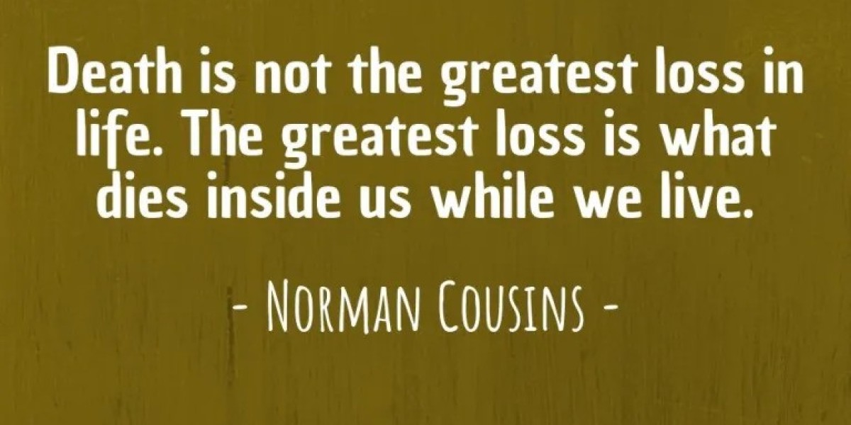 Reflections on Life, Loss, and Literature